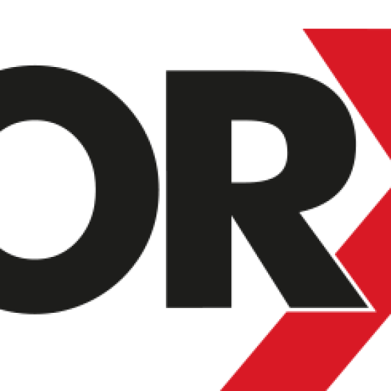TORX logo